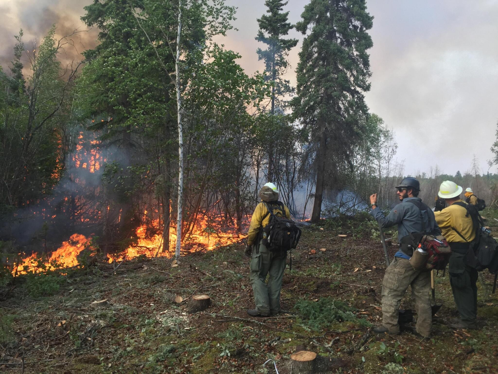 firefighters observing a fire