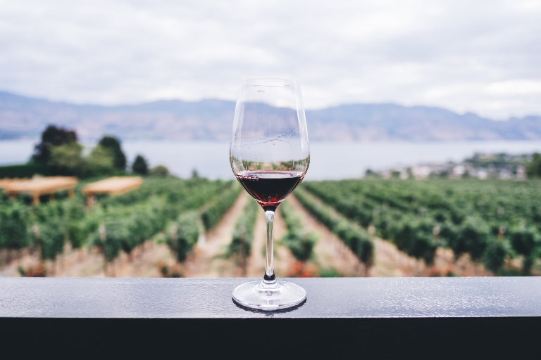 a glass of wine overlooking a vineyard