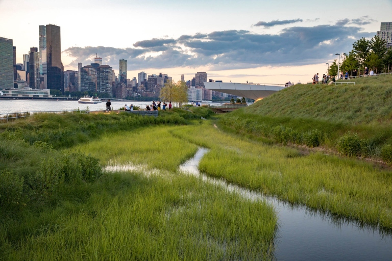 A park with a city skyline and river in the background