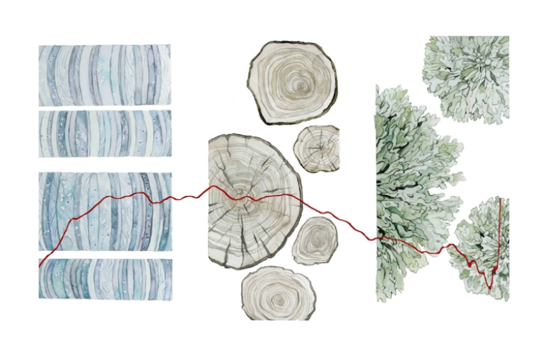 tree rings and cells with a graph line over them