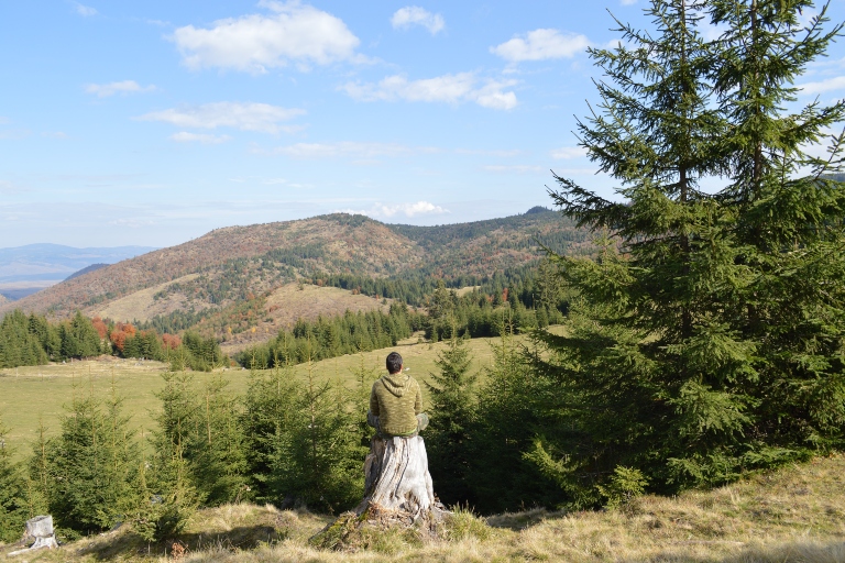 a man sitting on a tree stump